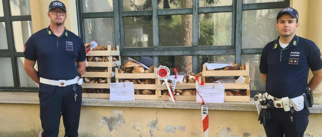 Bovisio Masciago sequestro funghi