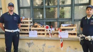 Bovisio Masciago sequestro funghi