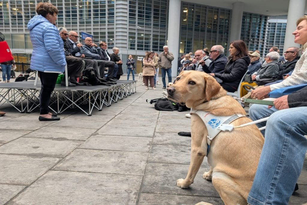 Limbiate Cani guida dibattito