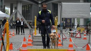 Limbiate cani guida dimostrazione