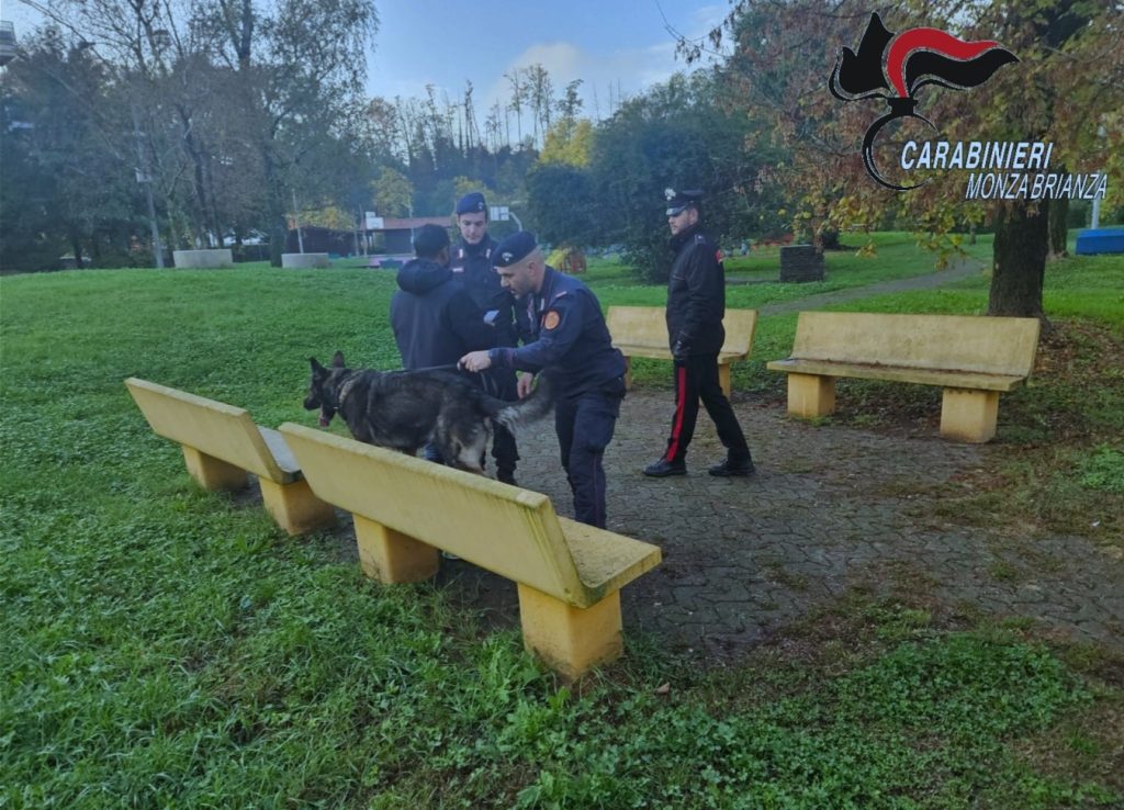 Carnate staizone controlli carabinieri nei gairdini