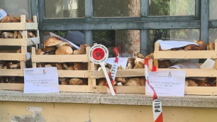 Funghi sequestrati