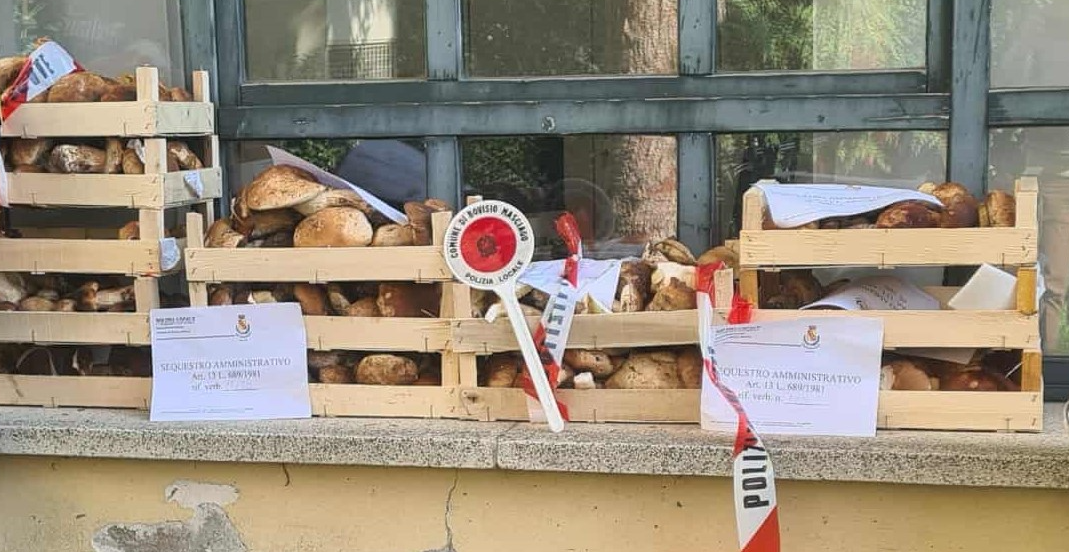 Funghi sequestrati