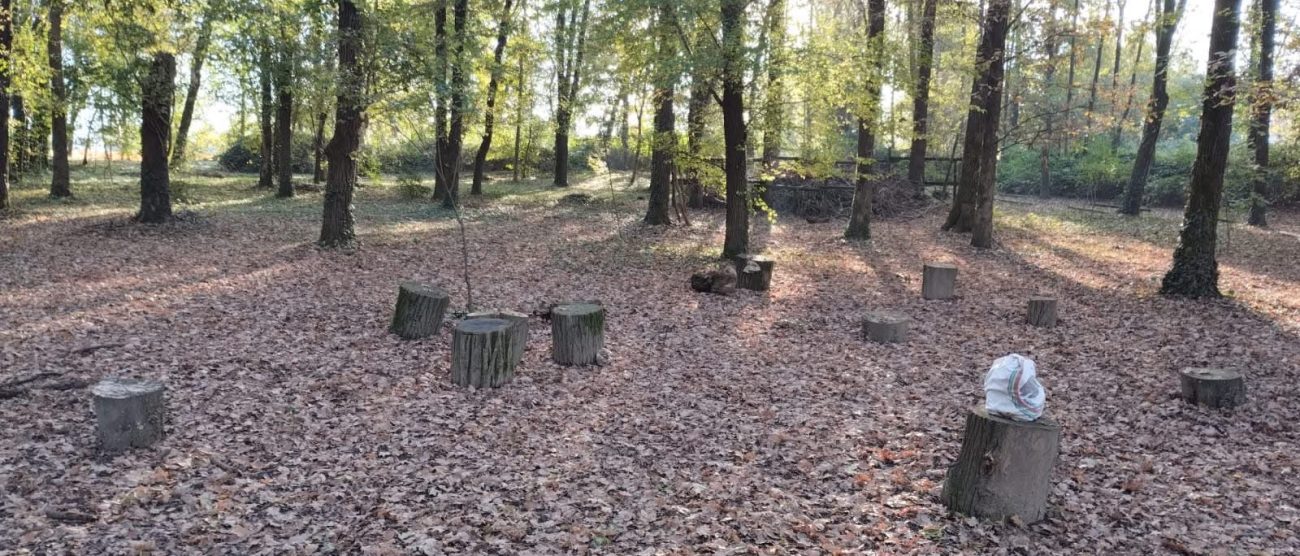 Il Bosco dei proverbi di Macherio