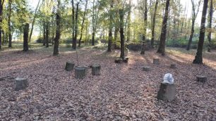 Il Bosco dei proverbi di Macherio