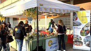 Lissone Amici di Lollo