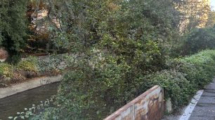 Monza via Aliprandi sponda Lambro