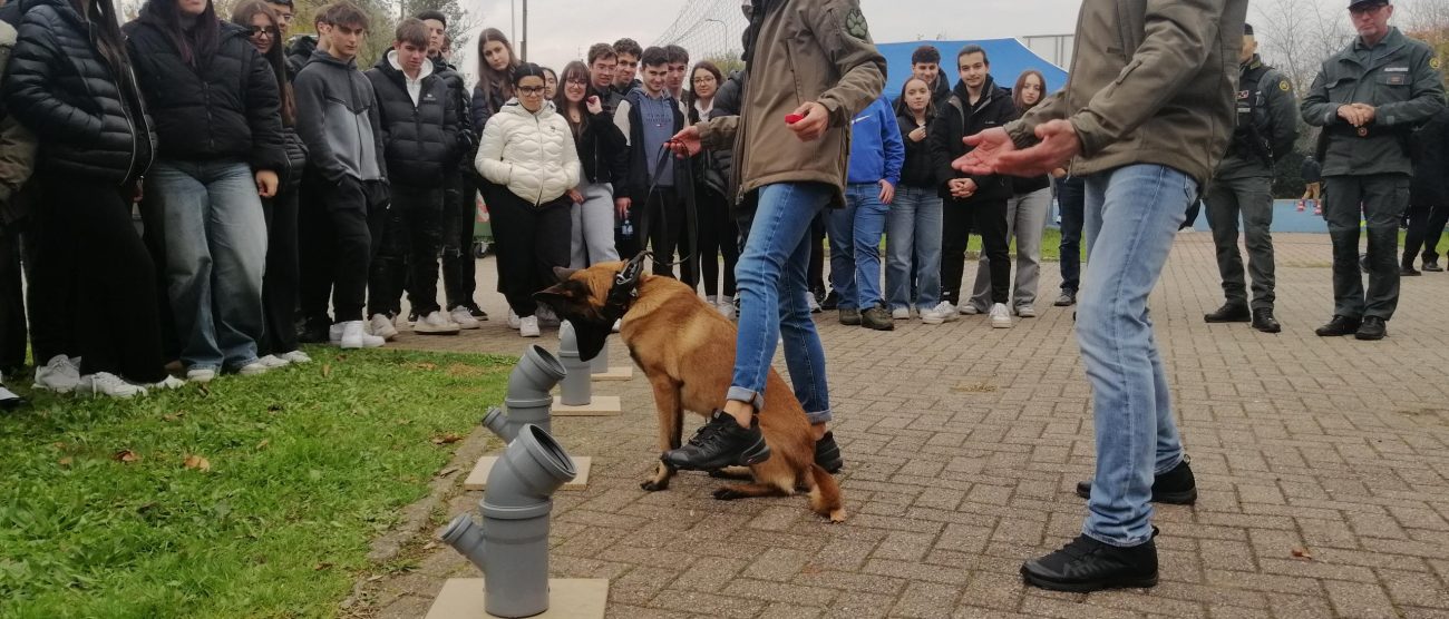 Provincia MB progetto Mobilità sicura Iti Fermi Desio
