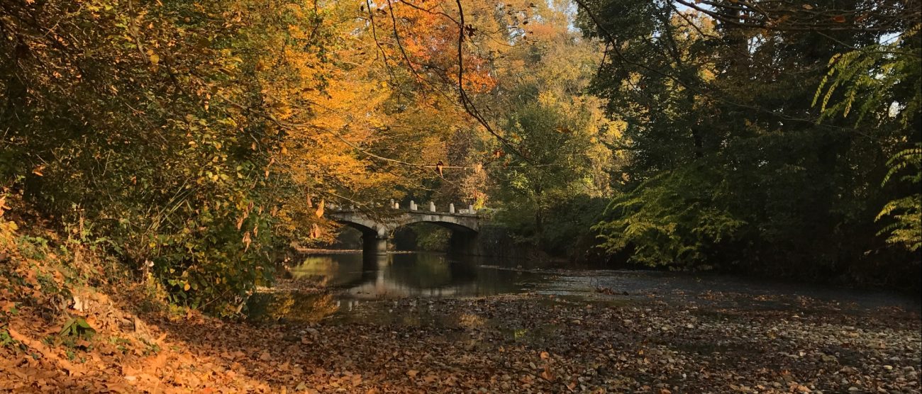 Parco di Monza Lambro