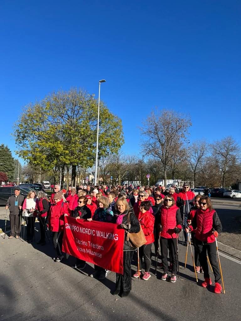 Nova Milanese 2025 violenza contro le donne