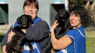 Cuccioli salvati Enpa Monza le due femmine