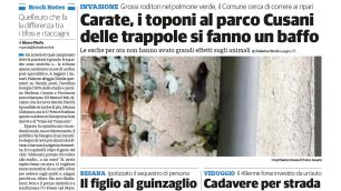 Prime sabato 8 novembre 2025