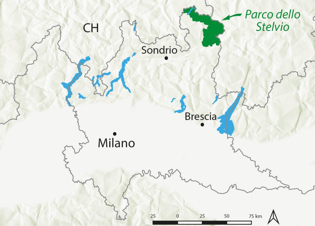 Il Parco Nazionale dello Stelvio si trova nell’angolo nord-orientale della Lombardia. Al suo interno la Valle di Fraele occupa la porzione allungata più a ovest, che confina con due parchi svizzeri. Illustrazione di Elio Della Ferrera, Arch. PaleoStelvio