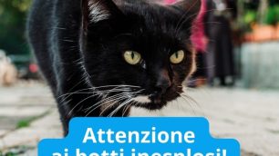 La campagna dell'Enpa Monza e Brianza