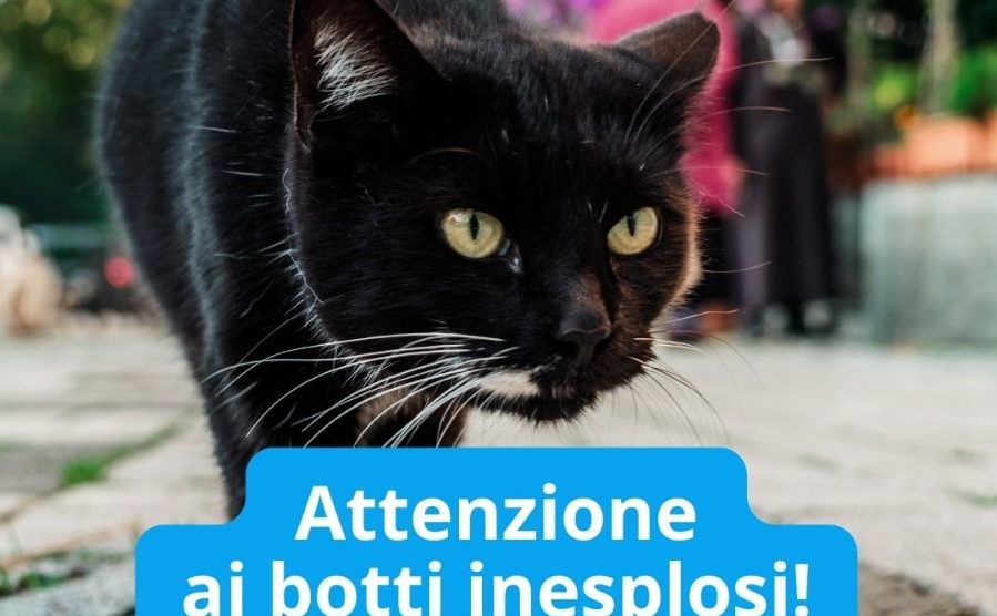 La campagna dell'Enpa Monza e Brianza