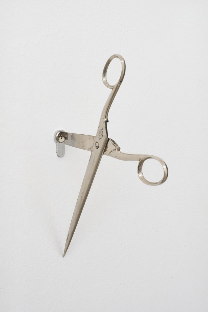 The most interesting plants grow in the shade