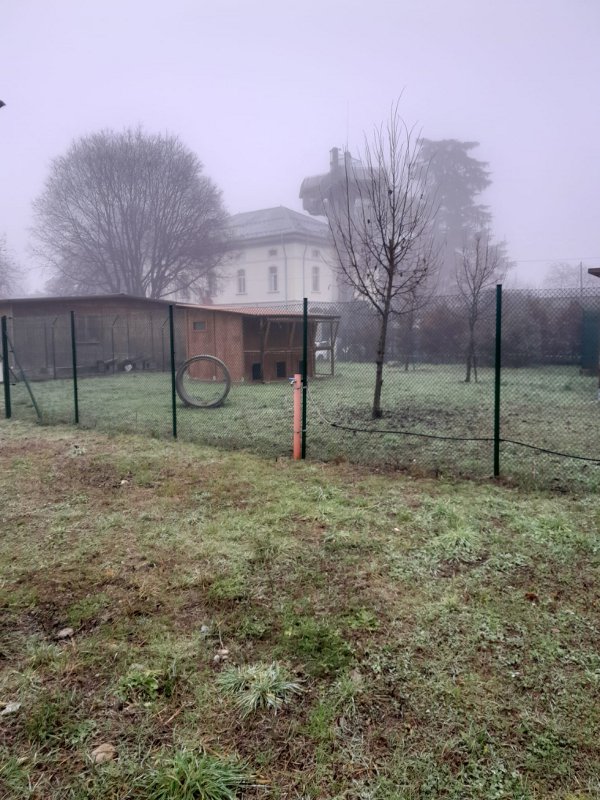 Monza 2025 Oasi felina ambiente bis