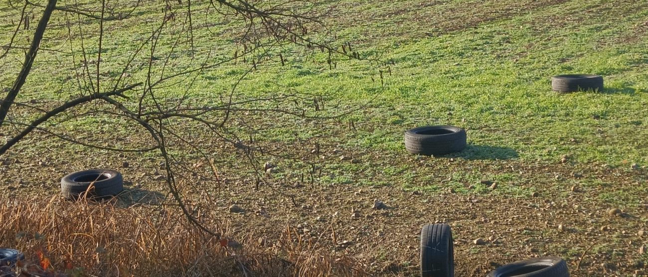 Monza 2025 via Tagliamento pneumatici abbandono