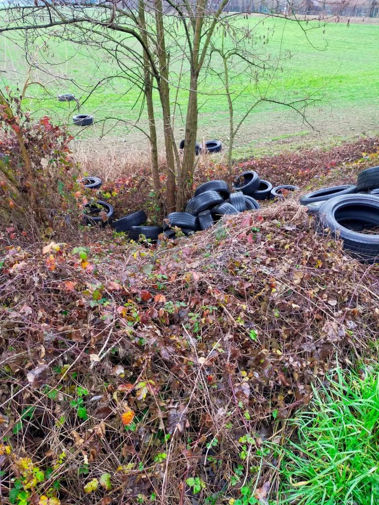 Monza 2025 via Tagliamento pneumatici abbandono