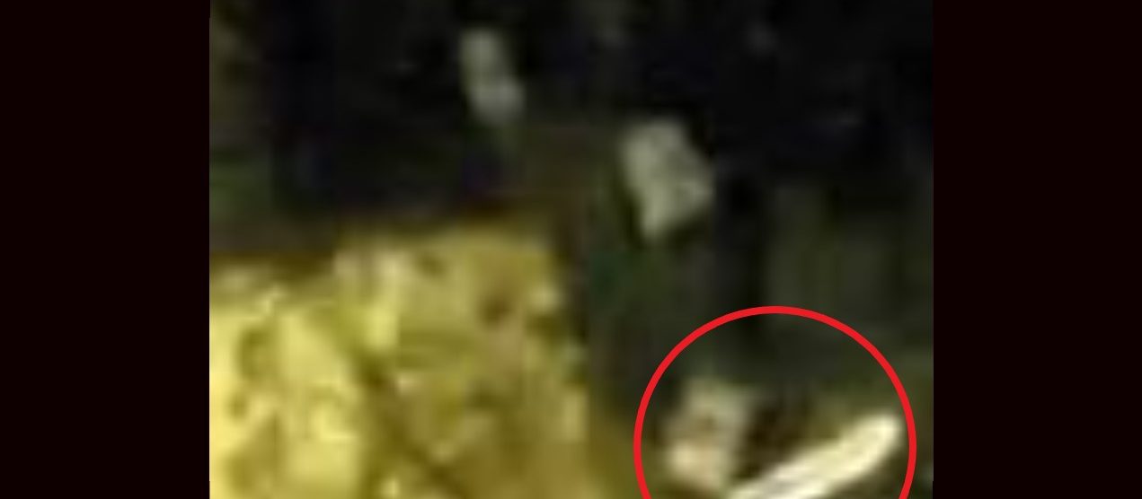 Lo sconosciuto con il machete nel Parco delle Groane