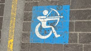 Comune di Meda pittogrammi paralimpici