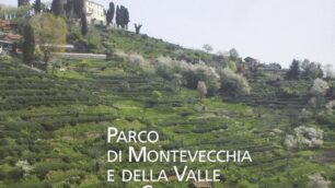 Il parco di Montevecchia e della Valle del Curone