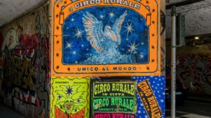 Street art Cesano Maderno Rural Zirkus di RikyBoy