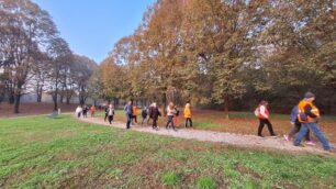 Bosco delle Querce Seveso