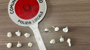 Brugherio inseguimento