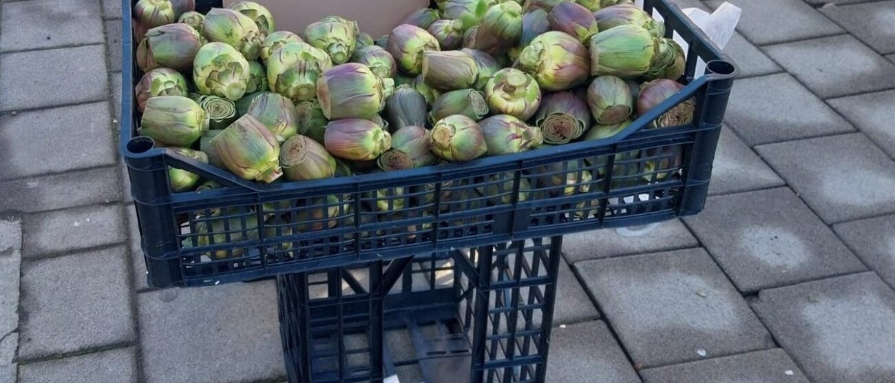 Cesano Madenro Sequestri PL area mercato