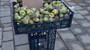 Cesano Madenro Sequestri PL area mercato