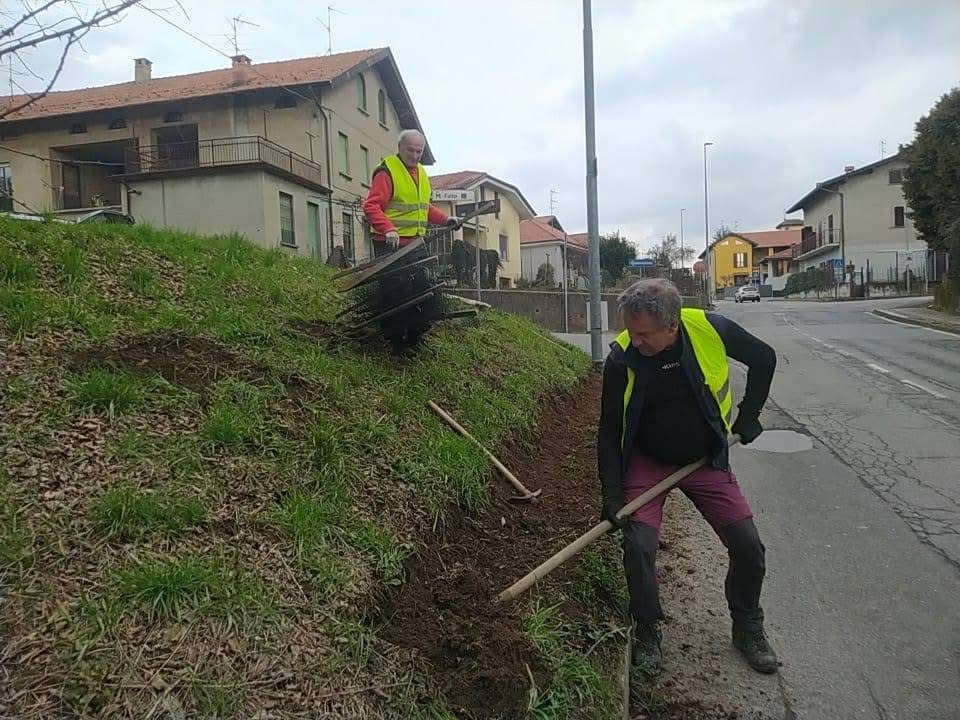 Triuggio volontari salvataggio rospi