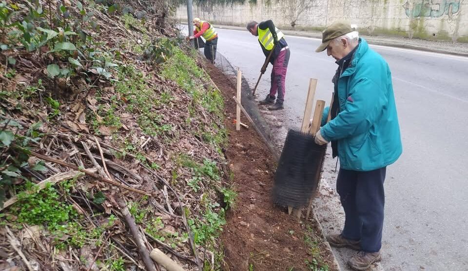 Triuggio volontari salvataggio rospi