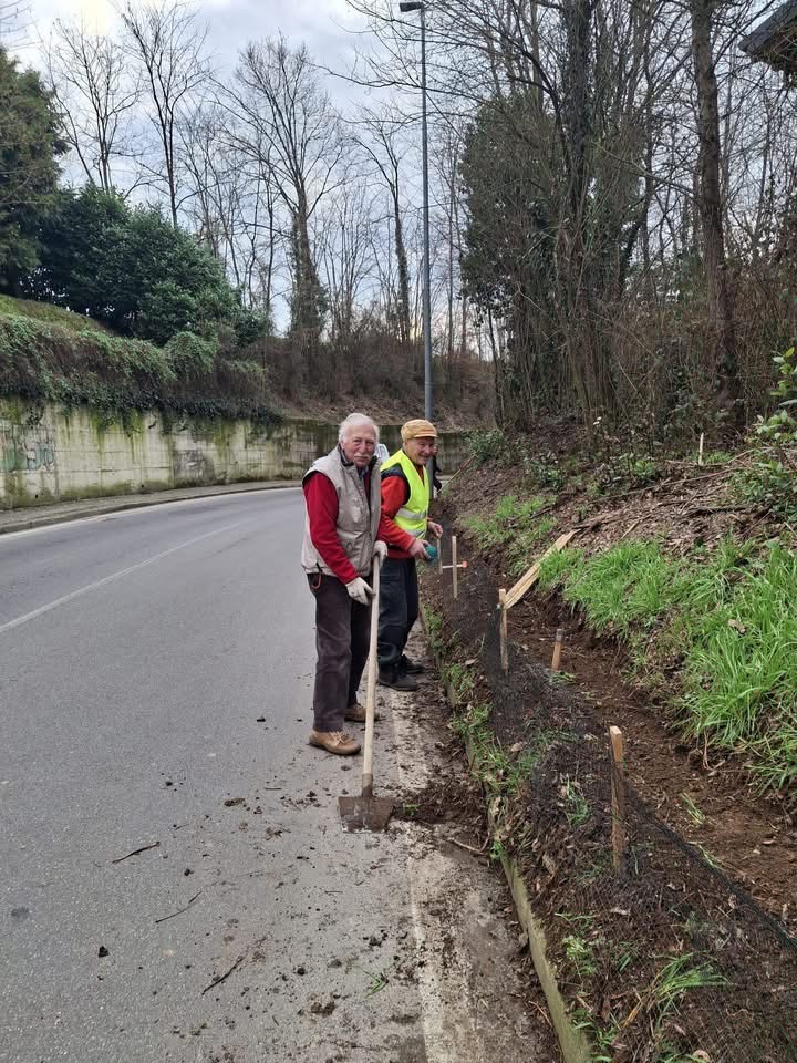 Triuggio volontari salvataggio rospi