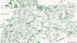 La mappa delle alberature di Monza secondo Google