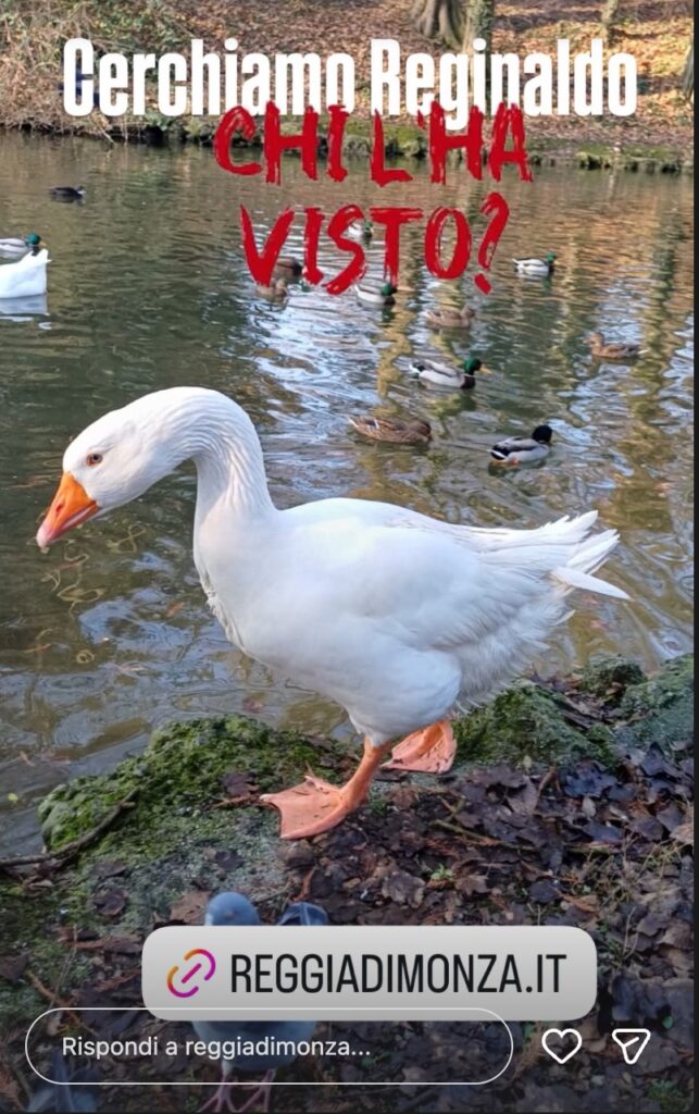 Consorzio Parco Monza appello Reginaldo