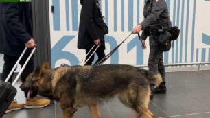 Il "cash dog" in azione a Orio al Serio