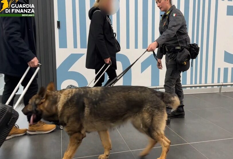 Il "cash dog" in azione a Orio al Serio