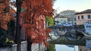 Monza 2026 ponti manutenzione straordinaria