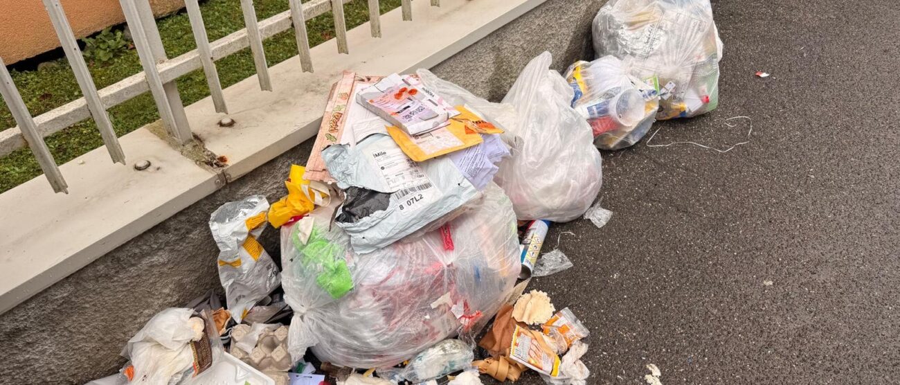 I rifiuti abbandonati a Meda