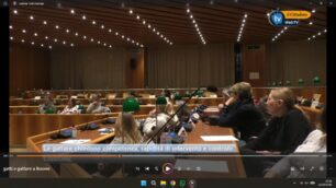 Lissone 2026 incontro gatti e gattare