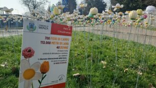 Monza San Fruttuoso fiori all'uncinetto