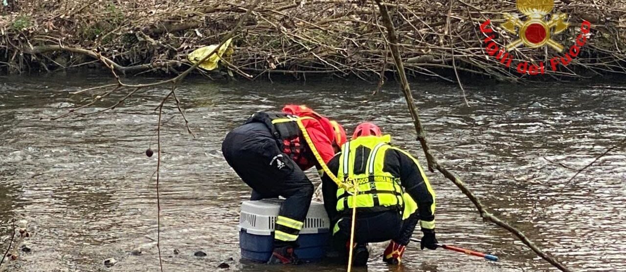 Monza Vigili del fuoco salvataggio airone