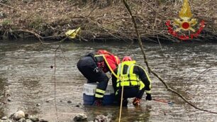 Monza Vigili del fuoco salvataggio airone
