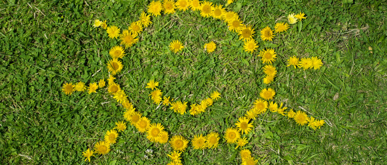 Prato sole equinozio primavera - foto Freepik