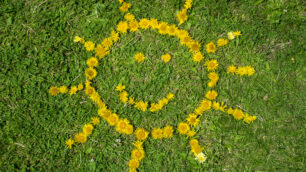 Prato sole equinozio primavera - foto Freepik