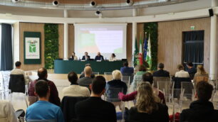 Provincia MB Consulta sport