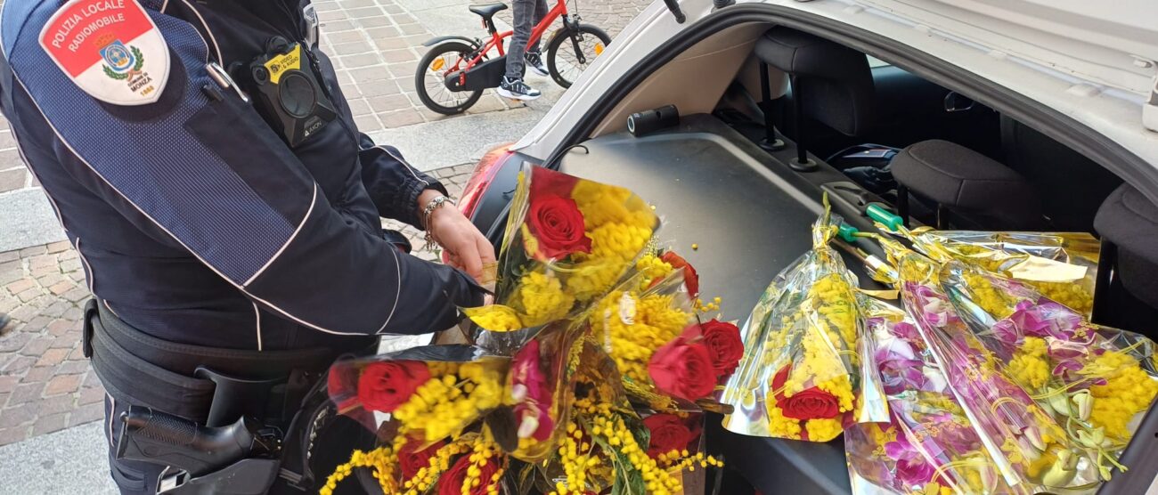 Sequestro di mimose a Monza