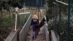 I controlli a Carnate del 17 marzo