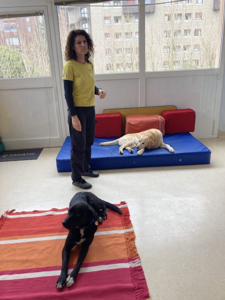 Monza Aias Pet Therapy